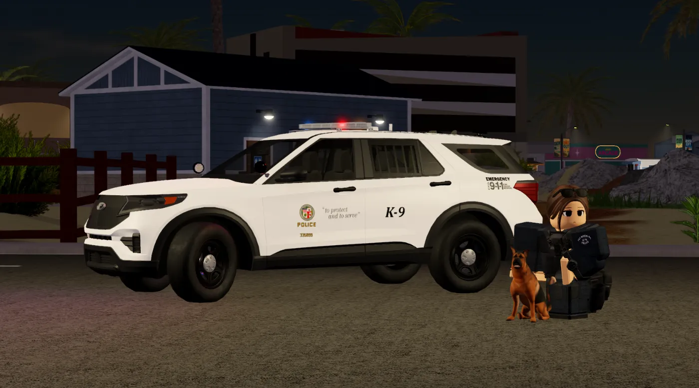 Scena notturna in Emergency Response: Liberty County: SUV della polizia con unità cinofila e agente accanto al cane